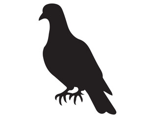 DOVE SILHOUETTE WHITE BACKGROUND