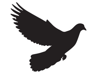 DOVE SILHOUETTE WHITE BACKGROUND