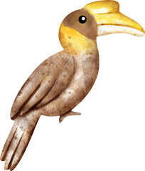 watercolor hornbill © Je