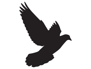 Obraz premium DOVE SILHOUETTE WHITE BACKGROUND