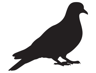 DOVE SILHOUETTE WHITE BACKGROUND