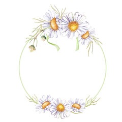 Obraz premium A round painted frame with a bouquet of daisies and a green ribbon. Watercolor template with white wildflowers and buds. Botanical illustration for greeting cards and wedding invitations.