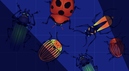 illustration of bugs