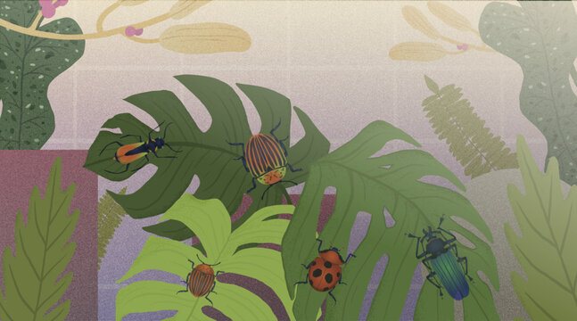 Illustration of Bug