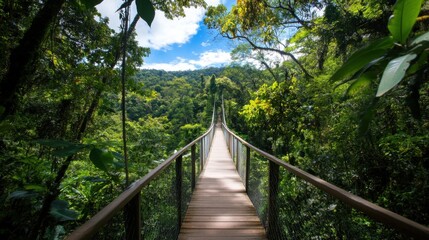 Fototapeta premium Wooden suspension bridge crossing a lush green rainforest canopy, sunlight dappling through leaves onto the walkway. : Generative AI