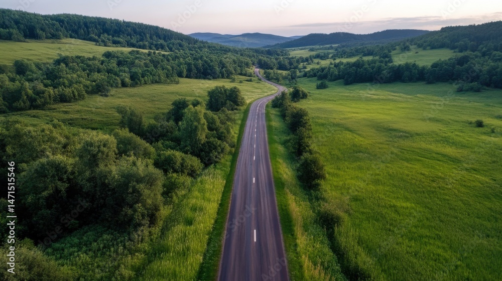 Poster aerial view of a winding asphalt road cutting through a lush green landscape, surrounded by dense fo