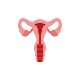 Illustration of a uterus with fallopian tubes and ovaries depicted in a simplified anatomical style design