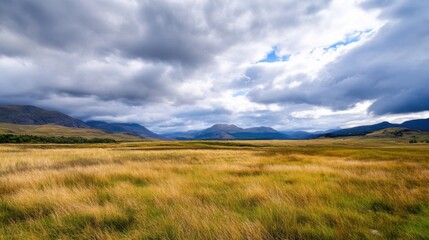 Obraz premium Scottish Highlands landscape: golden grass field under a dramatic cloudy sky, with distant mountains creating a serene yet powerful vista. : Generative AI