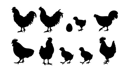 Chickens in pasture silhouette farm pets.