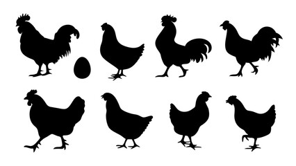 Chickens in pasture silhouette farm pets.