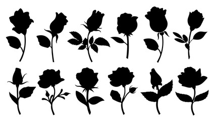 Set of decorative rose with leaves. Flower silhoutte. Vector illustration