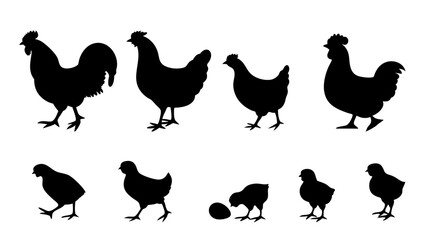Chickens in pasture silhouette farm pets.