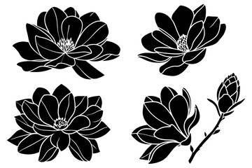 set of magnolia flowers with leaves. Flower silhoutte. Vector illustration