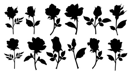 Set of decorative rose with leaves. Flower silhoutte. Vector illustration