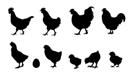 Chickens in pasture silhouette farm pets.