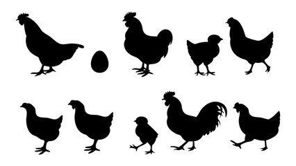 Chickens in pasture silhouette farm pets.