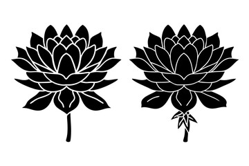 set of lotus flowers with leaves. Flower silhouttes. Vector illustration