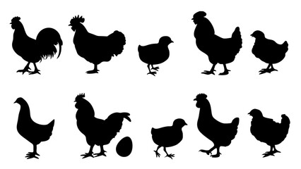 Chickens in pasture silhouette farm pets.