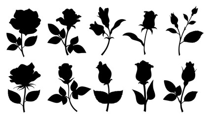 Set of decorative rose with leaves. Flower silhoutte. Vector illustration