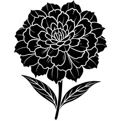 Marigold with leaves. Flower silhoutte. Vector illustration
