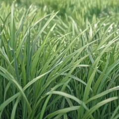 Fluid, pastel green shapes mimicking grass blades, soft focus , backdrop, green