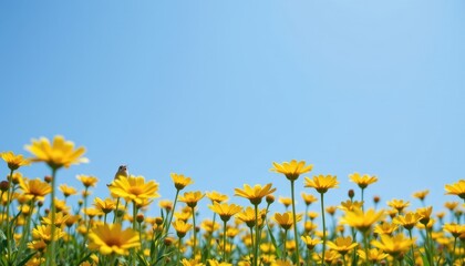 a vibrant field of yellow flowers under a clear blue sky, with a single bird in flight above the blooming meadow