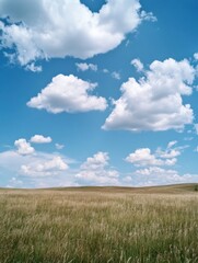 Obraz premium Serene summer landscape featuring a gently rolling field of tall grass under a vibrant blue sky dotted with fluffy cumulus clouds. : Generative AI
