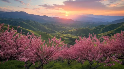 Selbstklebende Fototapeten A serene landscape at sunset, featuring blooming pink trees and rolling green hills. © FAJIYUSNI