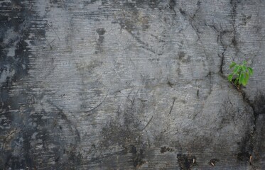 Urban grunge background gray concrete wall, abstract wall art, gray concrete wall texture can be used as background