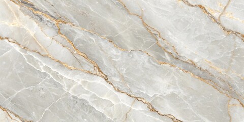Fototapeta premium Elegant Light Gray Marble with Intricate White and Gold Veining