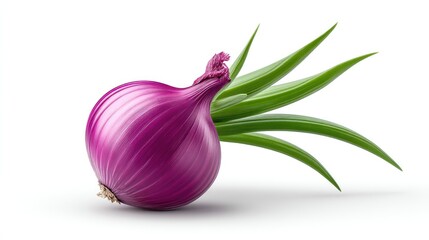 Realistic Onion on Plan white Background