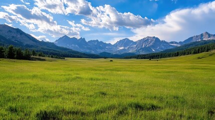 Obraz premium Serene mountain meadow landscape with lush green grass under a bright blue sky, featuring a majestic mountain range in the background. : Generative AI