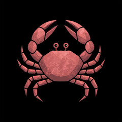 Colorful vector illustration of a stylized red crab with a textured shell, isolated on a black background.