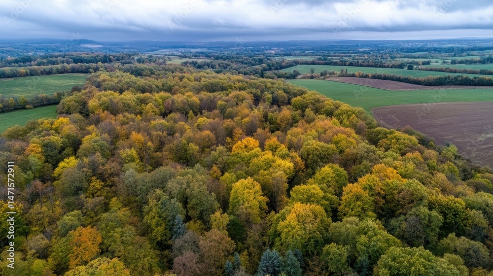 Poster aerial view of a vibrant autumn forest bordering cultivated fields under a cloudy sky, showcasing a 