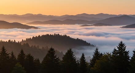 Golden hour mist over valley and forested hills. Serene landscape with sunlight and clouds ideal for romantic, dreamy stock use.
