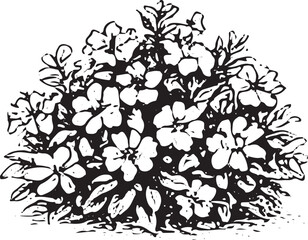 A detailed black-and-white sketch of a round floral bush, ideal for garden decor and vintage nature designs