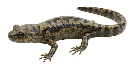 Obraz premium Slimy Salamander on Mossy Log