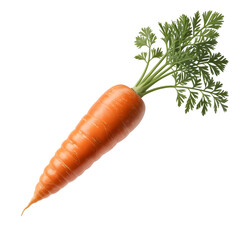 Fresh Organic Carrot With Green Leaves Isolated On White Background