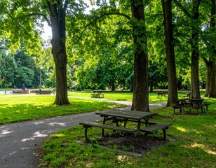Serene Park Landscape with Picnic Tables under Sunny Trees