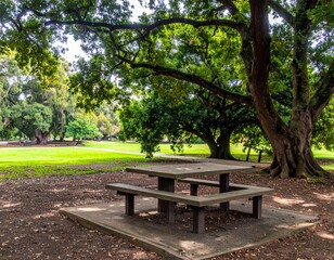 Tranquil Park Scene with Picnic Table under Lush Green Trees