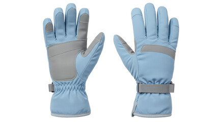 Isolated Pair of Winter Gloves