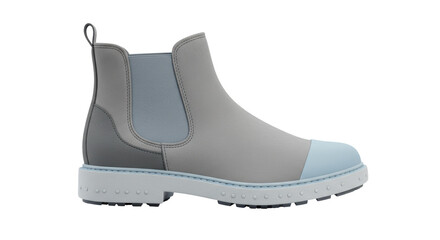Isolated Gray Chelsea Boot