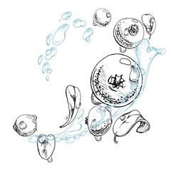 Cranberry lingonberry flying in water splash with green leaves and drops, ripe forest berry bearberry teaberry wintergreen vector hand drawn in ink. Isolated illustration for cafe menu, farmers market