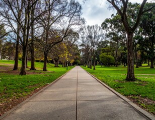 Obraz premium Serene Pathway Through a Tranquil Green Park Landscape in Autumn