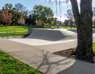 Obraz premium Urban Skatepark in a Sunny Park Setting with Bright Green Grass