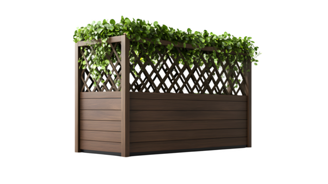 Tall planter box with integrated trellis screen, dark wood finish, for climbing plants providing privacy, photorealistic image, isolated on transparent  background