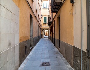 Fototapeta premium Quaint Narrow Alleyway with Warm-Toned Walls and Cobblestone Path
