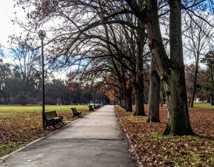 Serene Pathway in a Park Surrounded by Autumnal Trees and Benches