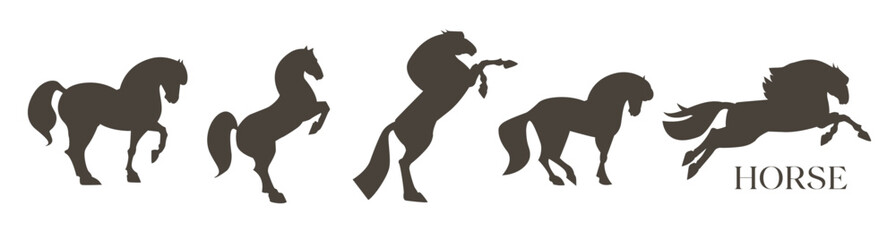 Happy Chinese New Year, year of the horse! Lunar new year card template. Chinese text means 