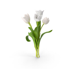 Bouquets of Vibrant Tulips on transparent Background